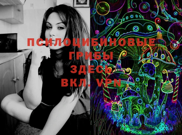 МДПВ Алзамай