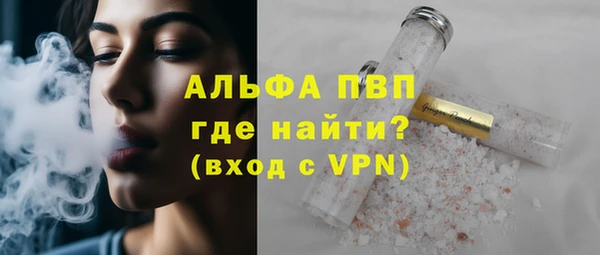 бошки Ладушкин