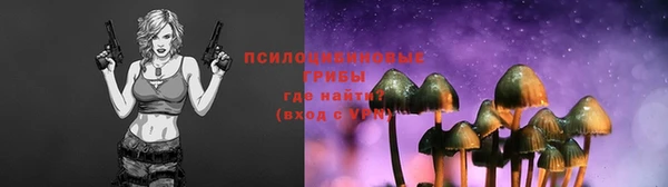 крисы Алексин