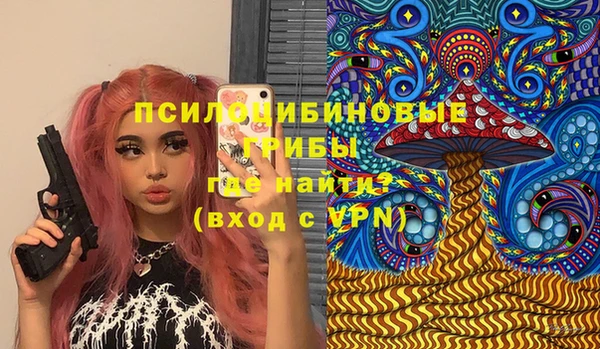 крисы Алексин