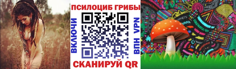 купить  сайты  Мурманск  Псилоцибиновые грибы мицелий 